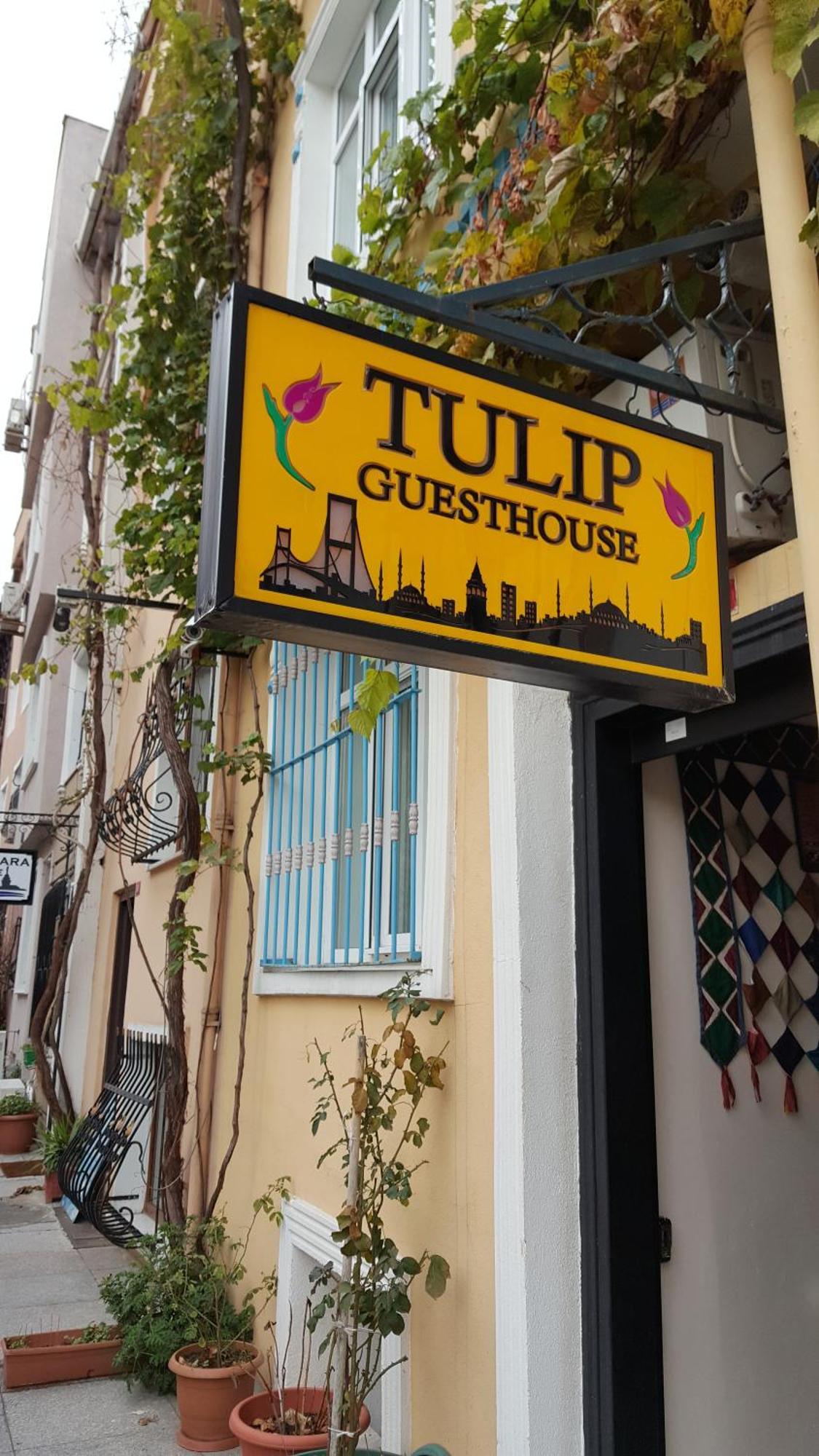 Tulip Guesthouse — Fotoğraflar 3